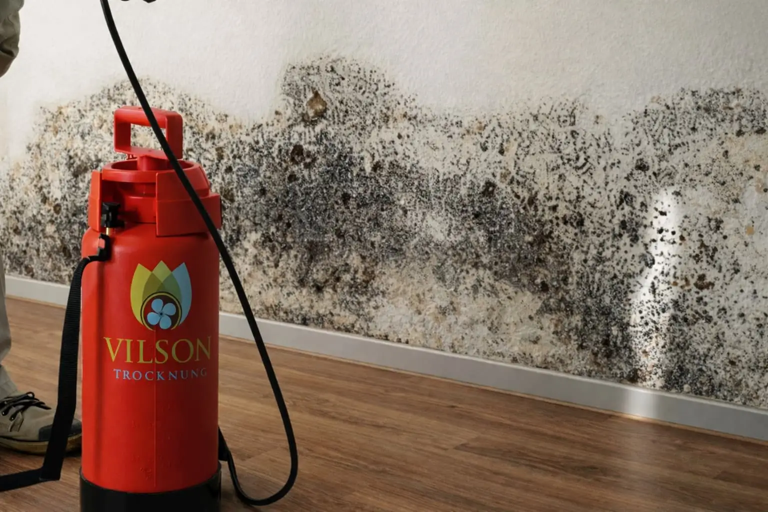 Schimmelbefall an einer Wand mit Vilson-Sprühgerät