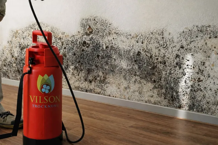 Schimmelbefall an einer Wand mit Vilson-Sprühgerät