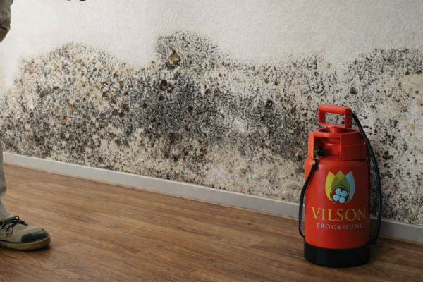 Feuchtigkeitsmessung an der Wand im Rahmen einer Komplettsanierung