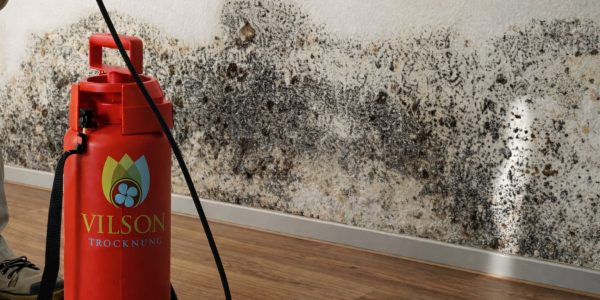 Schimmelschaden im Rahmen einer Komplettsanierung