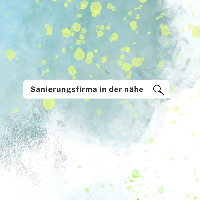 Wenn ihr im Thema Sanierung einen professionellen Partner haben wollt, kommt direkt zu uns 🤜🏻🤛🏻
.
.
.
.
.
#sanierungen #hausmeister #fyp #fypage #fpvdrones #funny #lustig #viral #vilsontrocknung #trockenbau #haus #wohnung #vislon #instagood #firma #wasserschadensanierung #wasserschaden #hochwasser