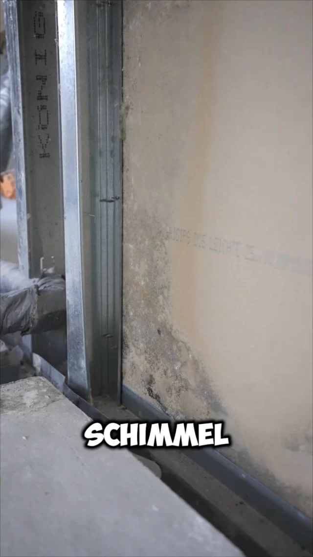 Nur weil es nicht sichtbar ist, heißt das nicht, dass es nicht da ist.🦠
Bei Fragen oder Verdacht auf Schimmelbildung gerne uns kontaktieren📞: 089 215 288 888
.
.
.
.
.
#fypage #fyp #schimmel #hausmeister #haus #wohnung #sanierungen #wasserschadensanierung #haus #funny #lustig #fact #fakten #wichtig #münchen #bayern
